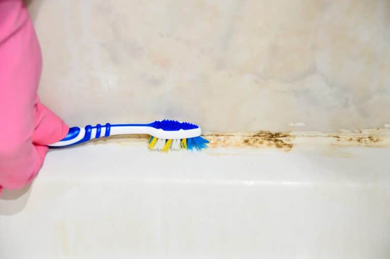 moisissures sur les joints nettoyer nettoyage de la crasse avec une brosse à dents