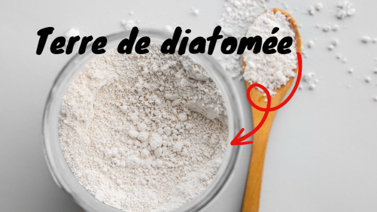terre de diatomée