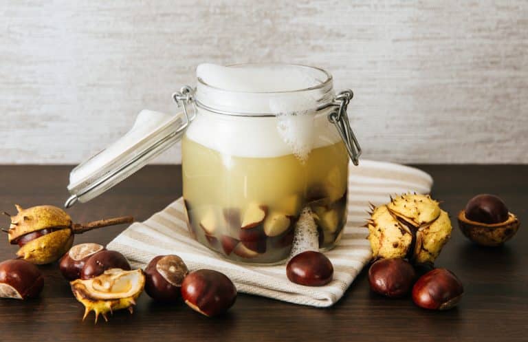 lessive liquide naturelle maison aux marrons recette