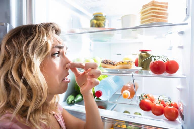 mauvaises odeurs frigo odeurs désagréables réfrigérateur