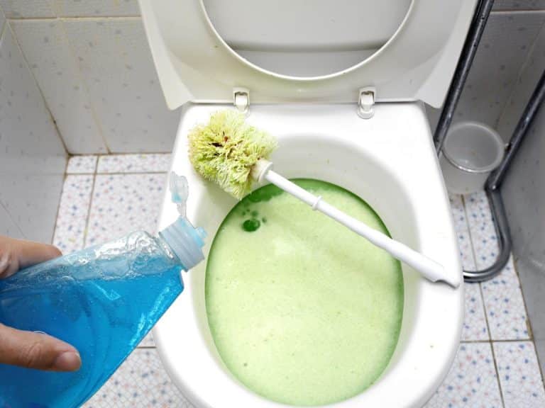 toilettes bouchées bouchon dans les wc canalisation à déboucher plomberie