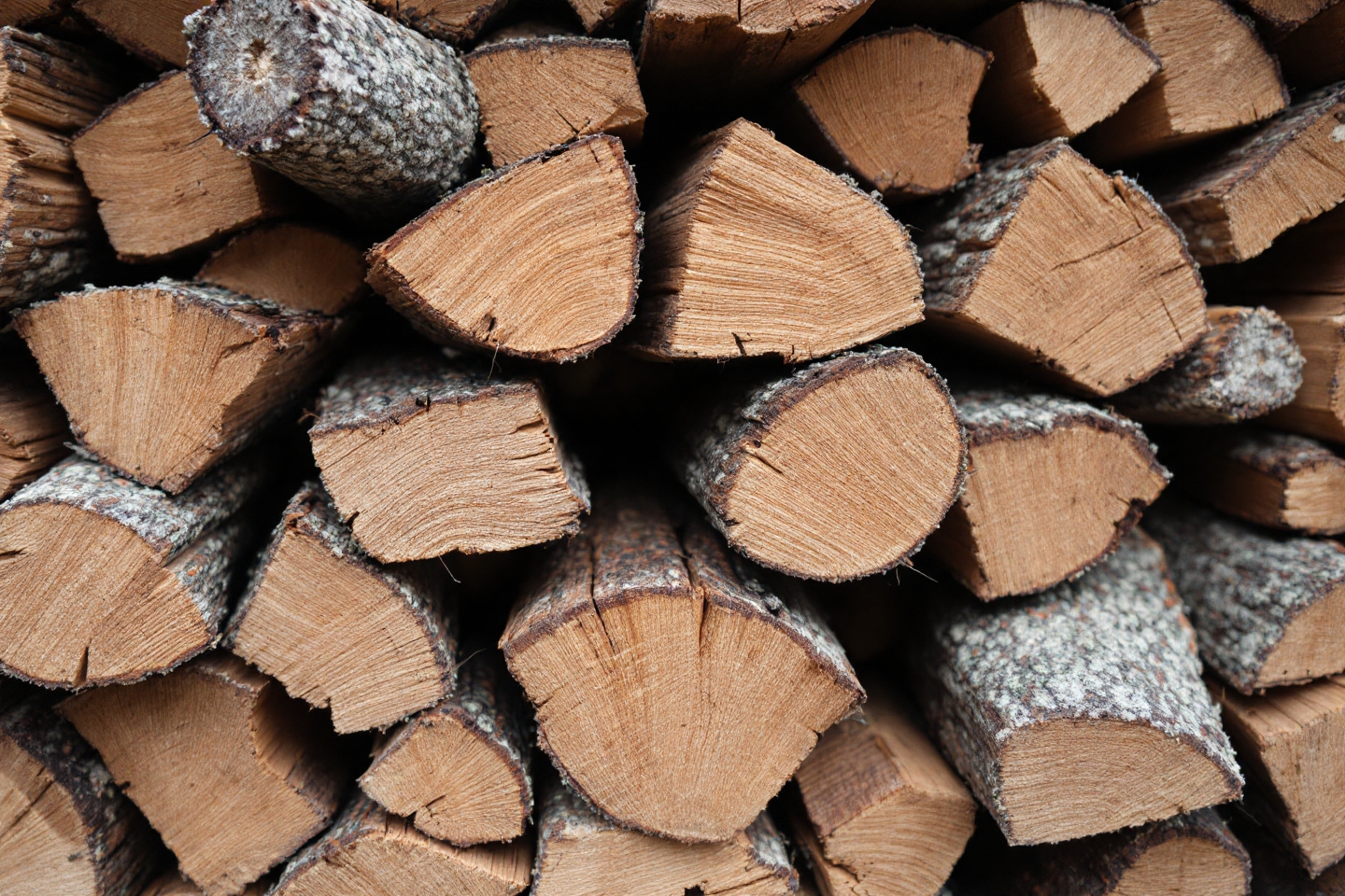 Arrêtez de gaspiller votre argent : c’est exactement la quantité de bois dont vous aurez besoin pour un hiver au chaud